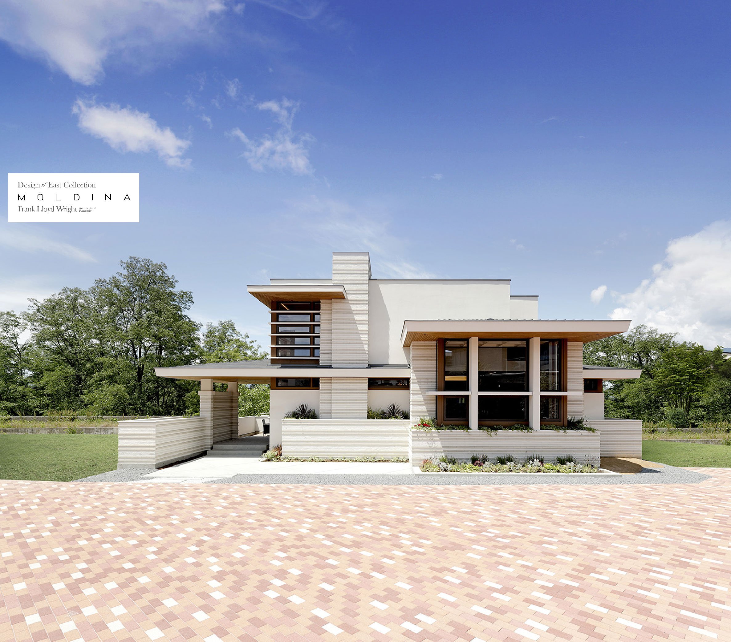 0003 Xlarge　MOLDINA